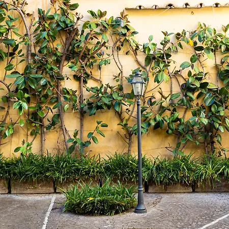 Quiet Trevi Fountain Courtyard & Patio Daire Roma